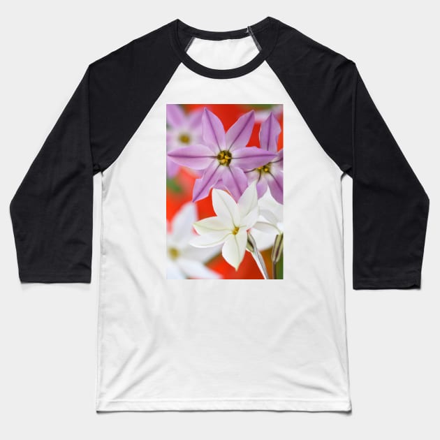 Ipheion  Two colours  Spring starflower Baseball T-Shirt by chrisburrows